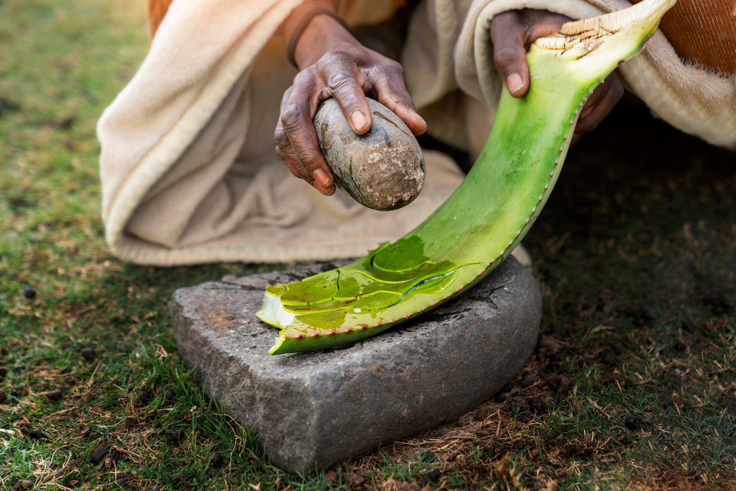 Vielfältige, nährstoffreiche Lebensmittel wie Wurzelgemüse, Beeren und Hülsenfrüchte – Grundlage einer gesunden Ernährung