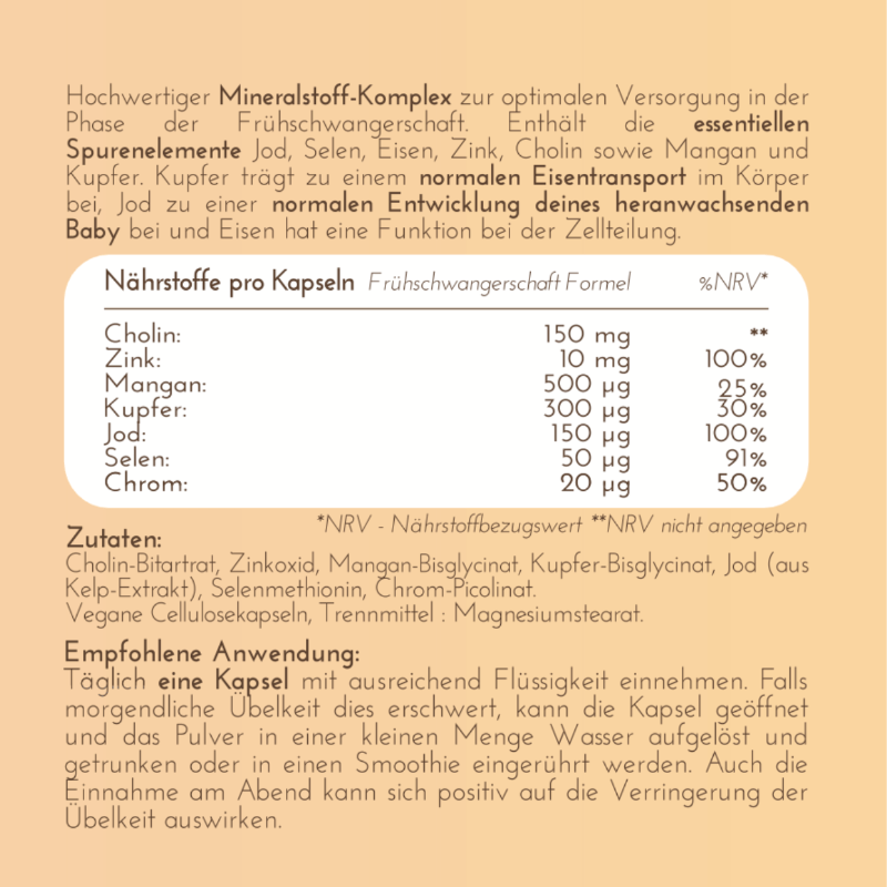Frühschwangerschaft Nährstoffe Essentials