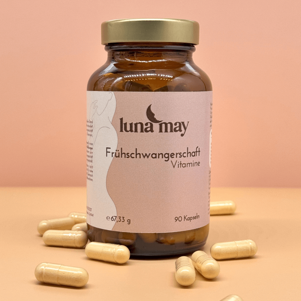 Phase 2 - Frühschwanger­schaft